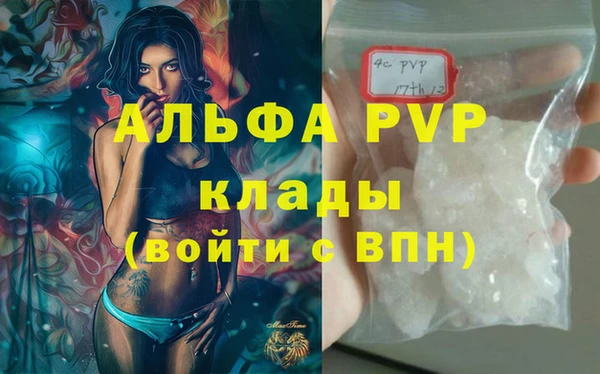 крисы Алзамай