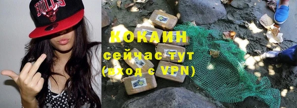 крисы Алзамай