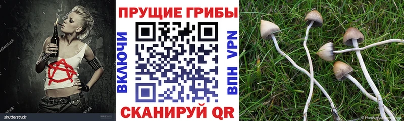 купить наркотики сайты блэк спрут рабочий сайт Псилоцибиновые грибы MAGIC MUSHROOMS Норильск